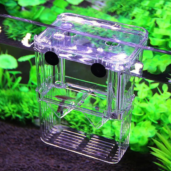 Multifunctional High Clear Fish Breeding Isolation Box Aquarium Breeder Fish Tank Double Guppies Hatching Incubator - Image 2
