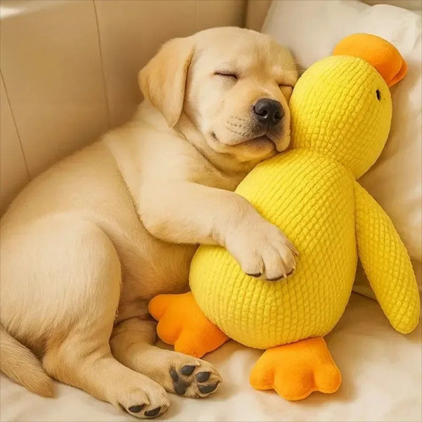 Dog Toy Plush,Sleeping Duck With Sound Pet Interactive Plush Bite Resistant Teeth Grinding Puppy Cat Relieve Boredom Pet Product - Image 5