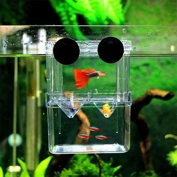 Multifunctional Fish Aquarium Fish Breeding Isolation Box High Clear Aquarium Breeder FishTank Double Guppies Hatching Incubator - Image 3