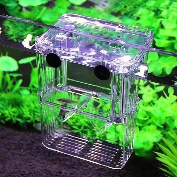 Multifunctional Fish Aquarium Fish Breeding Isolation Box High Clear Aquarium Breeder FishTank Double Guppies Hatching Incubator - Image 2