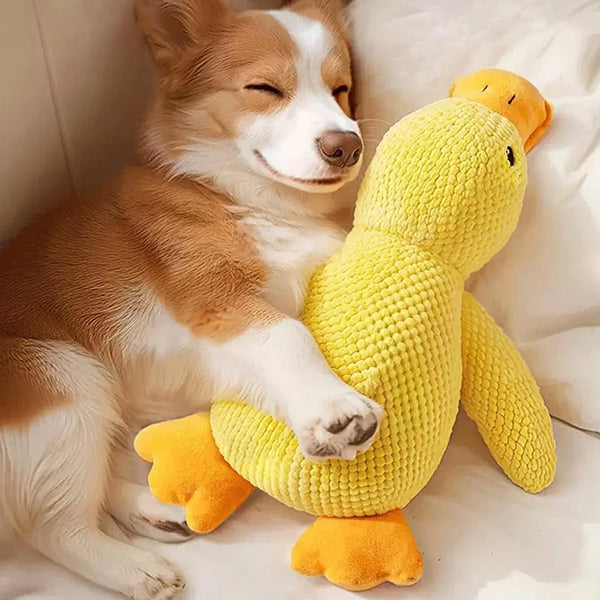 Calming Duck Toy for Dogs Squeaky Interactive Soft Comfort Teething Supplies Dog Toys Plush for Travel Beach Pool Park Yard - Image 2