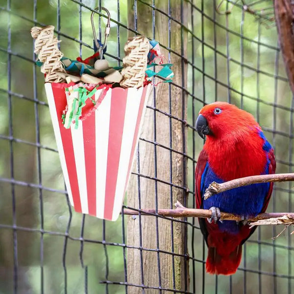 Colorful Parrot Chew Toys Parrot Foraging Natural Bird Cup Chew Toys For Parakeet Conure Cockatiel Lovebird And Small Birds - Image 5