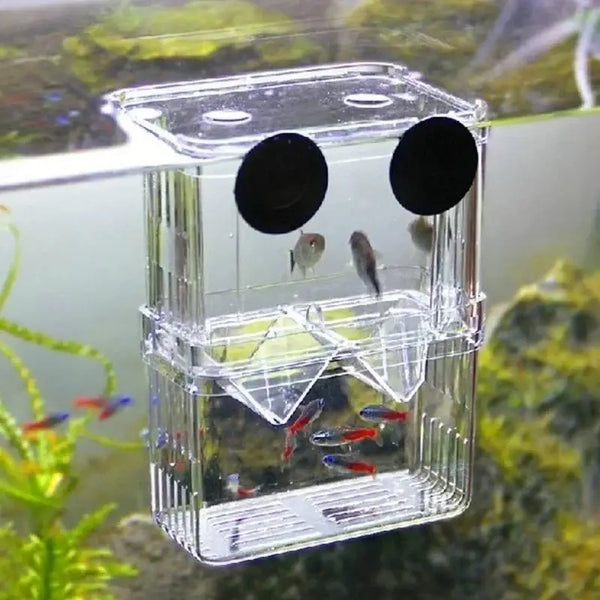 Multifunctional Fish Aquarium Fish Breeding Isolation Box High Clear Aquarium Breeder FishTank Double Guppies Hatching Incubator - Image 4