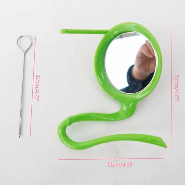 Bird Mirror Toy with Plastic Perch Stand Parrot Metal Fruit Vegetable Holder Feeder Lovebirds Finches Canaries Cage Accessories - Image 3