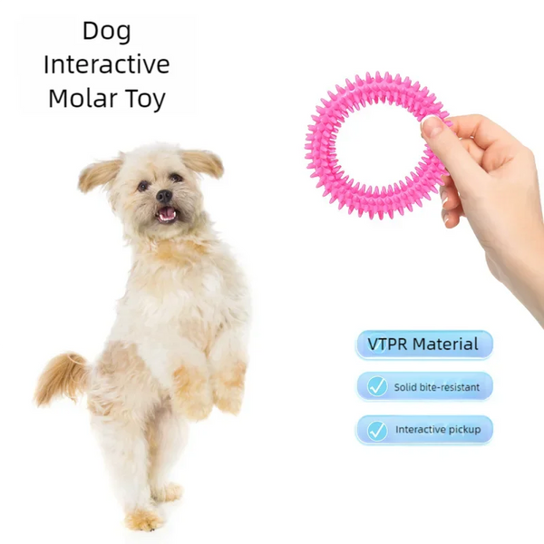 Pet Chew Toy Soft Rubber Bite-resistance Bone Shape Teeth Grinding Chewing Toys for Small Dogs Training Pet Supplies - Image 2