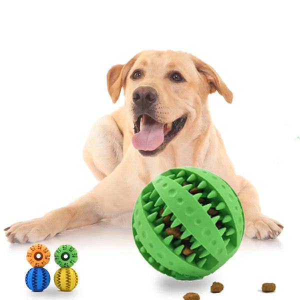 New Pet Dog Toy Interactive Rubber Balls for Small Large Dogs Puppy Cat Chewing Toys Pet Tooth Cleaning Indestructible Dog Ball