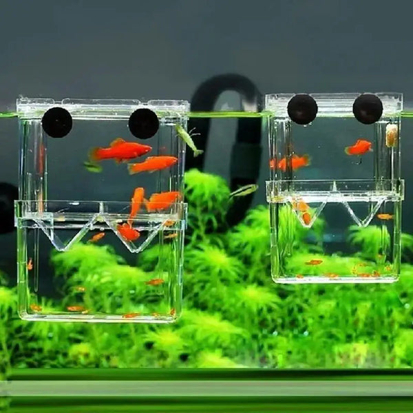 Multifunctional Fish Aquarium Fish Breeding Isolation Box High Clear Aquarium Breeder FishTank Double Guppies Hatching Incubator