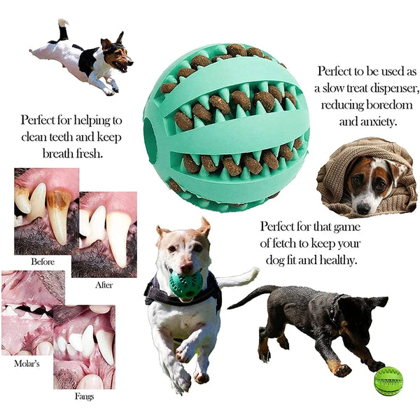 New Pet Dog Toy Interactive Rubber Balls for Small Large Dogs Puppy Cat Chewing Toys Pet Tooth Cleaning Indestructible Dog Ball - Image 4
