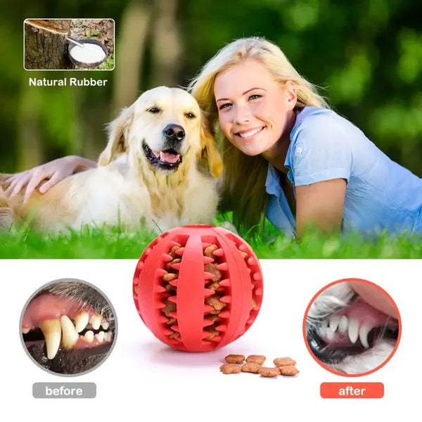 Dog Toy Ball Can Leak Food Bouncy Ball Rubber Dogs Molar Toys Balls Bite Resistant Pet Teeth Cleaning Toy Dog Accessories - Image 2