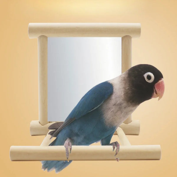 Parrot Mirror Stand Suitable for Birds to Play And Perch in Cages, Accessories Bird Swing Toy for Budgerigars And Other Parrots - Image 5