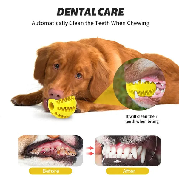 Dog Toy Ball Can Leak Food Bouncy Ball Rubber Dogs Molar Toys Balls Bite Resistant Pet Teeth Cleaning Toy Dog Accessories - Image 3